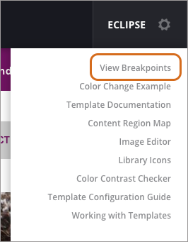 templatebreakpoint.png
